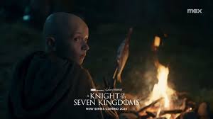 A knight of the seven kingdom